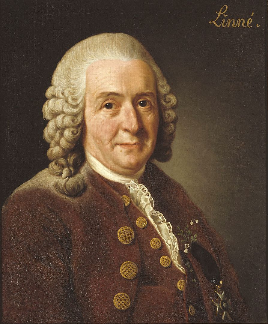 Carl von Linné 1